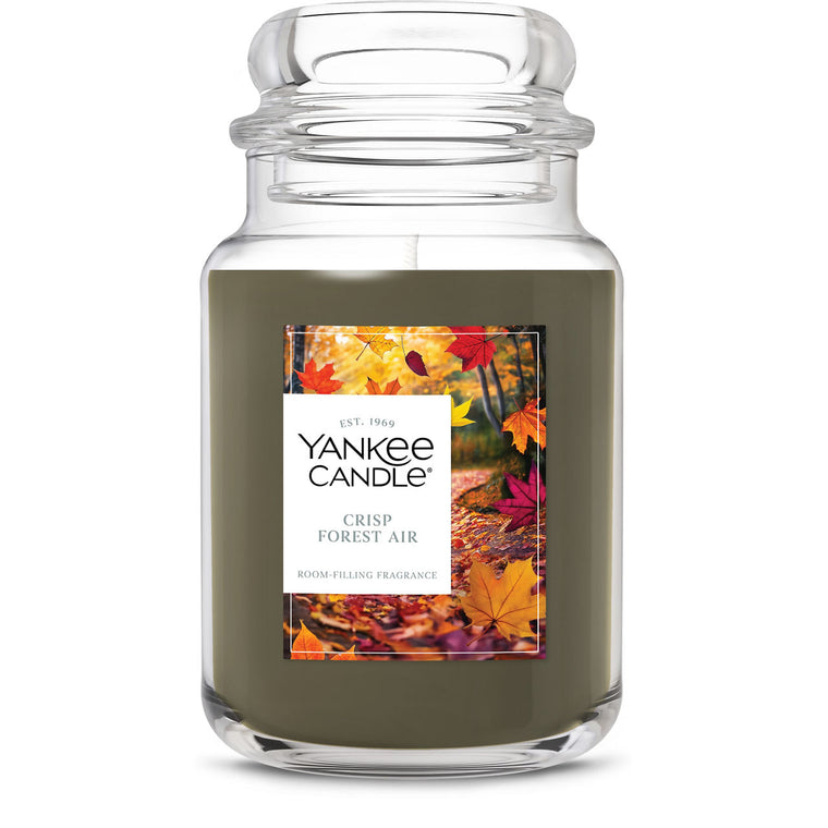 Crisp Forest Air Original Large Jar Candle W6
